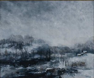 Winter am Fluss