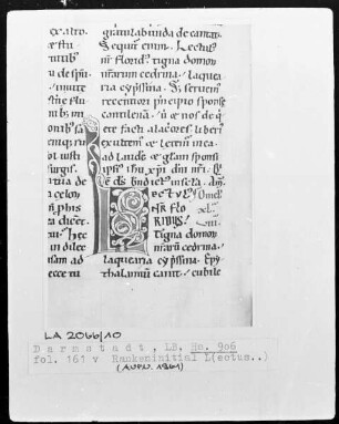 Bernardus, Sermones in Contica Canticorum — Initiale L(ectus...), Folio 161verso