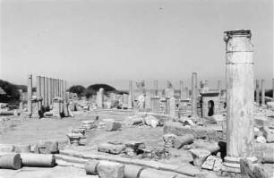Ruinen von Leptis Magna : Blick über Säulen und Ruinen