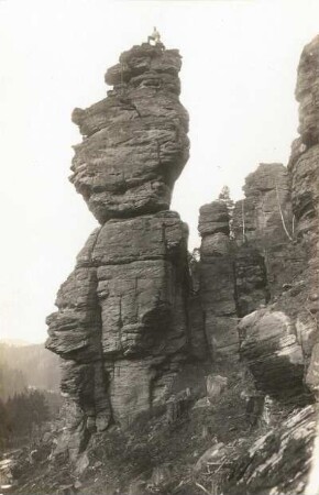 Sächsische Schweiz, Bielatal. Glasergrund. Bär