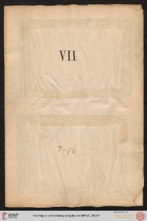 Plate VII - XVI