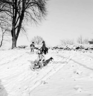 Dorfstraße: Kinder mit Schlitten beim Rodeln an Straßenböschung: links Baum: Winter
