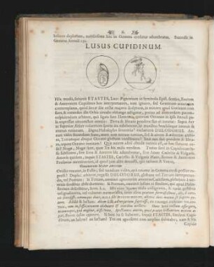 Lusus Cupidinum.