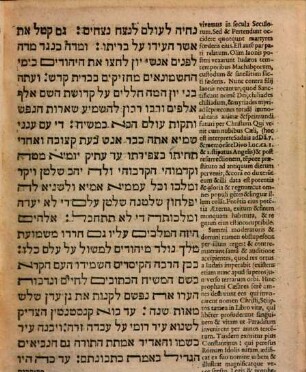 Responsum ad epistolam Iudaei, sitienter Expetentis cognitionem fidei Christianorum : cum versione latina
