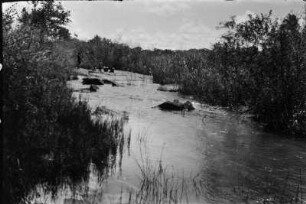 Der Lunchu-Fluss : Der Lunchu-Fluss. Dichte Vegetation am Ufer. Im Wasser einige Felsblöcke.