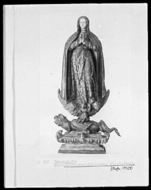 Immaculata