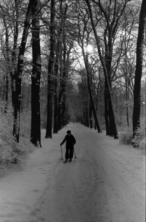 Berlin: Verschneiter Tiergarten; Junge mit Skiern