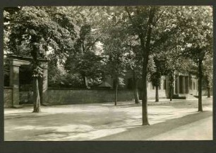 alter Friedhof