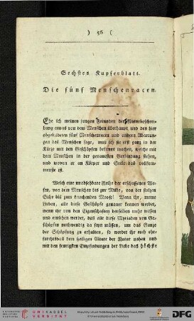 Sechstes Kupferblatt: Die fünf Menschenrassen