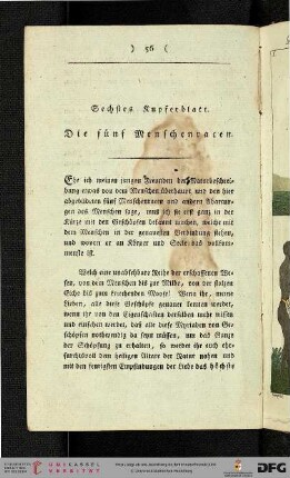 Sechstes Kupferblatt: Die fünf Menschenrassen