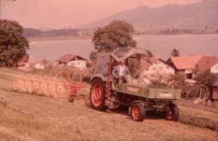 Fotografie: Traktor, Traktorkonzept, Geräteträger, Werbegerät, Sternradrechen