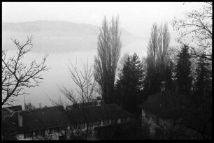 Murten: Morgenstimmung am Murten See