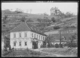 Meißen. Försters Weinstuben in Spaar