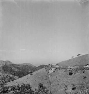 Panorama : Panorama der Straße entlang der Zentralafrikanischen Schwelle