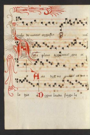 Sequentiae de Maria virgine