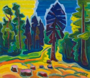 Waldlandschaft mit Tanne