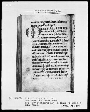Kalendar - Psalterium - Hymnar (Benediktinerhandschrift) — Initiale M(irabilia testimonia), Folio 151verso