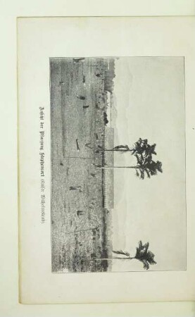 Aufsicht der Pflanzung Stephansort (Kaiser Wilhelmsland)