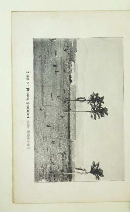 Aufsicht der Pflanzung Stephansort (Kaiser Wilhelmsland)