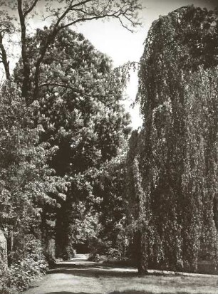 Diesbar-Seußlitz. Schlosspark