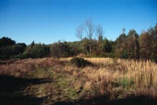Ehemaliger Truppenübungplatz Königsbrück. Königsbrücker Heide, Fahrweg nach Nordwesten in Richtung Rohna