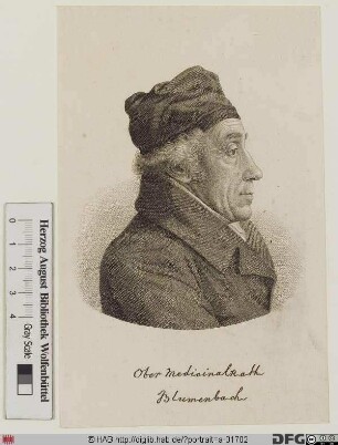 Bildnis Johann Friedrich Blumenbach