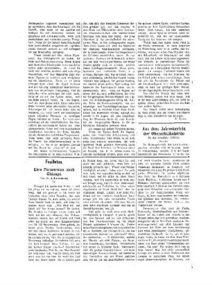 Feuilleton : Eine Ferienreise nach Chicago ; IV