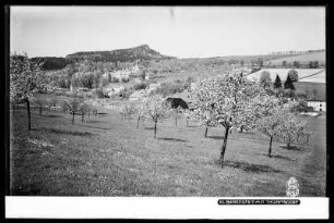 Sächsische Schweiz, Kleiner Bärenstein und Thürmsdorf
