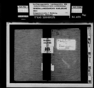 Feldschlächterei-Abteilung 315
