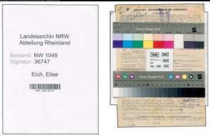 Entnazifizierung Elise Eich , geb. 26.09.1903 (Stenotypistin)