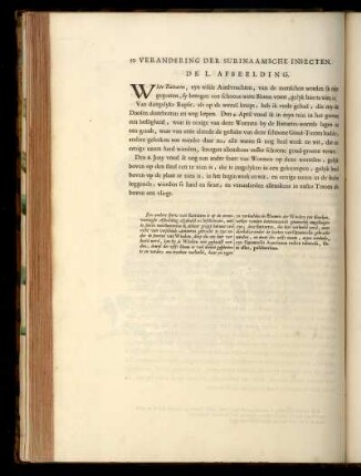 De L. Afbeelding