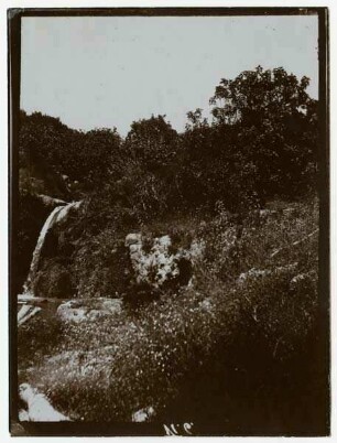 gerasch Wasserfall [Gerasa]