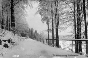 Horizontalweg Nähe Glösenstein