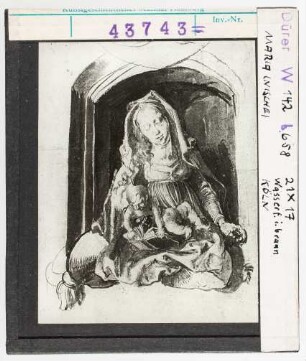 Albrecht Dürer: Maria mit Kind. Wasserfarbe in Braun. Köln