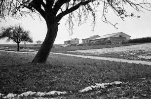 Umzug der Pächterfamilie Eugen Denninger vom städtischen Gutshof Rüppurr auf einen Aussiedlerhof in Flehingen nach Aufgabe des Gutshofs Rüppurr