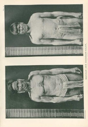 Taf. 5. Männer der Mahakam-Kajan, ...