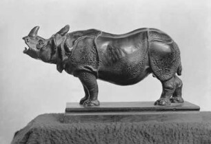 Rhinoceros