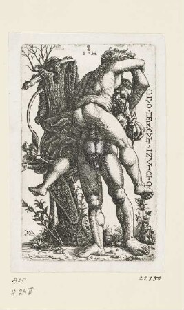 Herkules und Antaeus