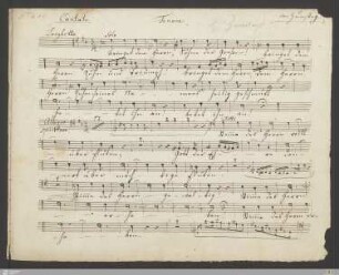 Tenor solo
