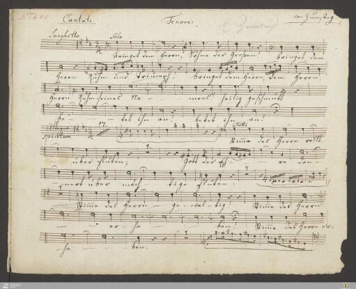 Tenor solo