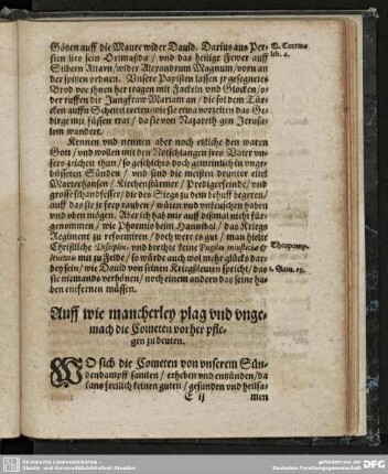 Auff wie mancherley plag vnd vngemach die Cometen vorher pflegen zu deuten.