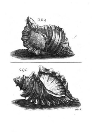 289. - 290.