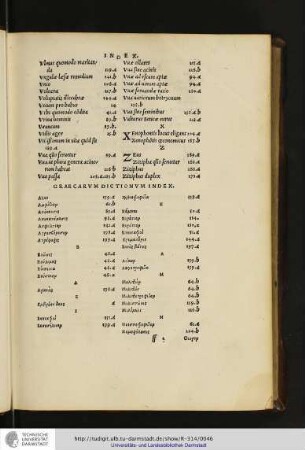 Graecarvm dictionvm index