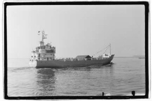 Holger (1979)