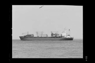 Cranach (1983), Frachtschiff, Christian F. Ahrenkiel, Hamburg , Bau-Nr. 194