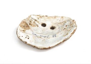 Durchbohrte Scheibe aus einer Muschelschale