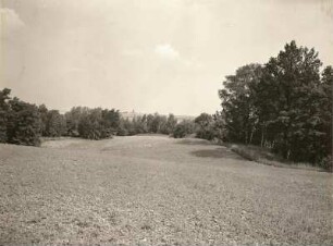 Ziegenhainer Burgberg. Im Inneren des Wallkessels. Blick nach Norden