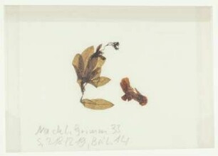 [Beil. 14]