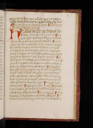 Petrus de Palude: Thesaurus novus.