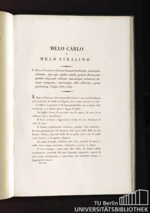 Melo Carlo o Melo Finalino